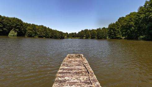 MDP Lake, Small Exclusive Carp Lake France, lake photo 11