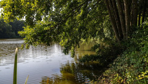 MDP Lake, Small Exclusive Carp Lake France, lake photo 1