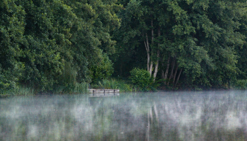 MDP Lake, Small Exclusive Carp Lake France, lake photo 8