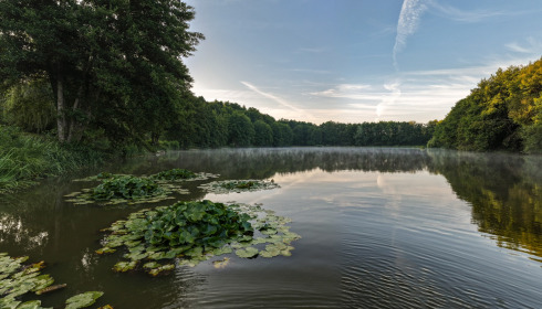 MDP Lake, Small Exclusive Carp Lake France, lake photo 12