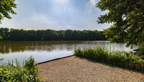 MDP Lake, Small Exclusive Carp Lake France, Swim 3