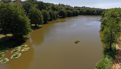 MDP Lake, Small Exclusive Carp Lake France, lake photo 2