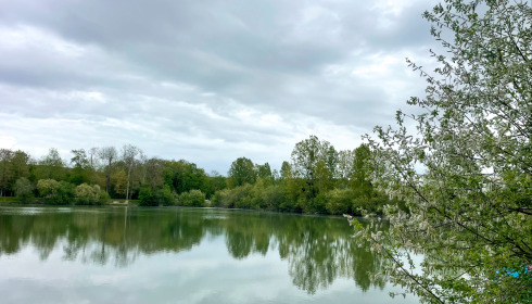 Duquesne, Carp Lake in Northern France, lake photo 13