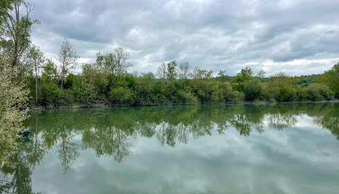 Duquesne, Carp Lake in Northern France, lake photo 4