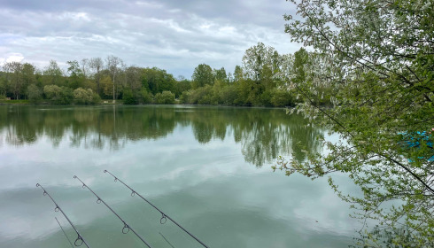 Duquesne, Carp Lake in Northern France, lake photo 10
