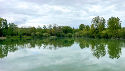 Duquesne, Carp Lake in Northern France, lake photo 6