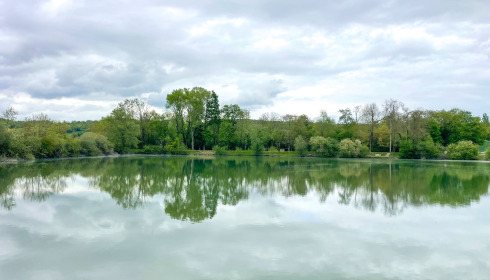 Duquesne, Carp Lake in Northern France, lake photo 2