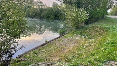 Duquesne, Carp Lake in Northern France, lake photo 22