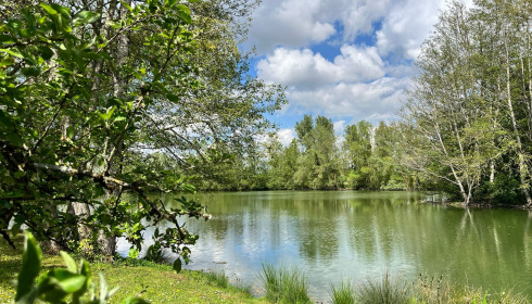 Zentelles, Carp Lake in France, lake photo 1