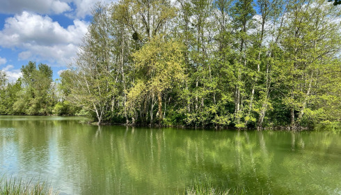 Zentelles, Carp Lake in France, lake photo 31