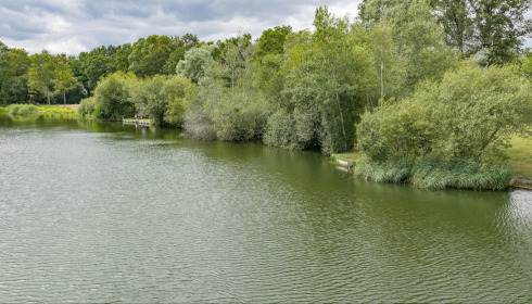 Plump Lake, Carp Fishing Holiday in France, lake photo 21