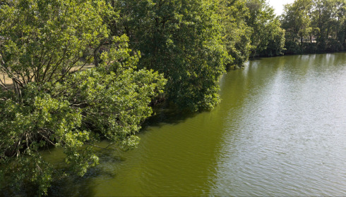 Plump Lake, Carp Fishing Holiday in France, lake photo 14