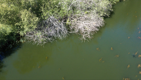 Plump Lake, Carp Fishing Holiday in France, lake photo 23