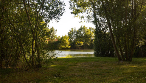 Plump Lake, Carp Fishing Holiday in France, lake photo 25