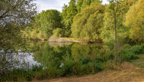 Villefond, Carp fishing in France, lake photo 10