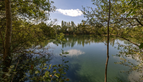 Villefond, Carp fishing in France, lake photo 2