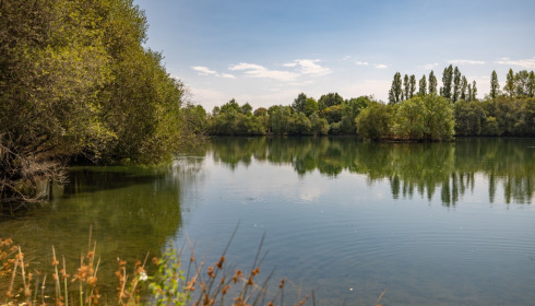 Villefond, Carp fishing in France, lake photo 14