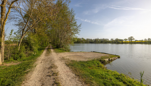 Jonchery, Proven Carp Fishing France, Swim 4 (Double)