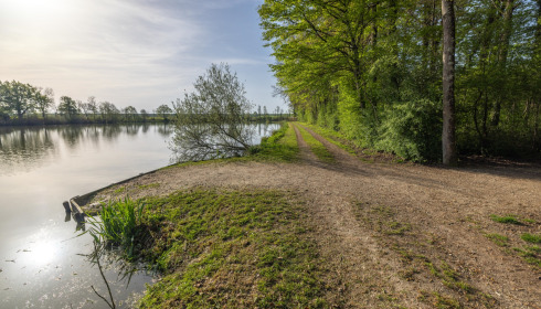 Jonchery, Proven Carp Fishing France, Swim 6 (Double)