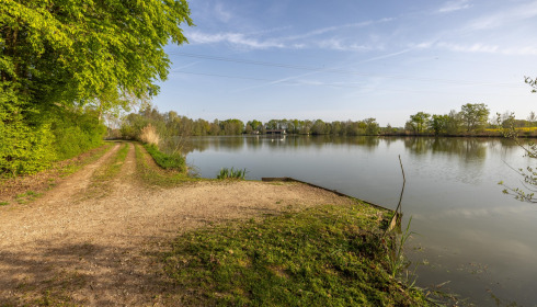 Jonchery, Proven Carp Fishing France, Swim 6 (Double)