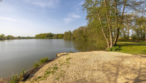 Jonchery, Proven Carp Fishing France, Swim 1 (Single or Double)