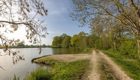 Jonchery, Proven Carp Fishing France, Swim 4 (Double)