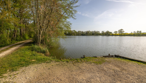 Jonchery, Proven Carp Fishing France, Swim 4 (Double)