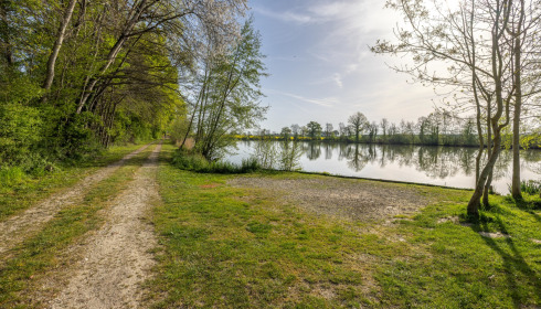 Jonchery, Proven Carp Fishing France, Swim 5 (Single or Double)