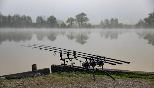 Jonchery, Proven Carp Fishing France, lake photo 12