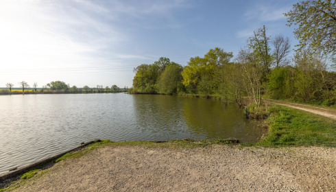 Jonchery, Proven Carp Fishing France, Swim 4 (Double)