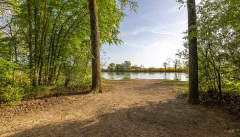 Jonchery, Proven Carp Fishing France, Swim 6 (Double)