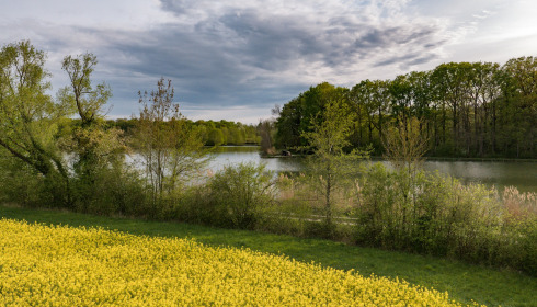 Jonchery, Proven Carp Fishing France, lake photo 19