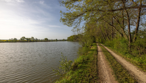 Jonchery, Proven Carp Fishing France, lake photo 4