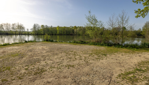 Jonchery 8, Carp Lake in France, Right of main swim