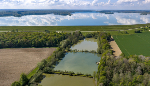 Jonchery 8, Carp Lake in France, lake photo 6