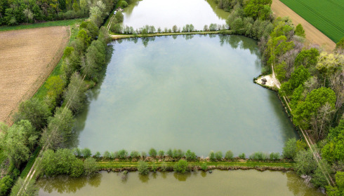 Jonchery 8, Carp Lake in France, lake photo 1