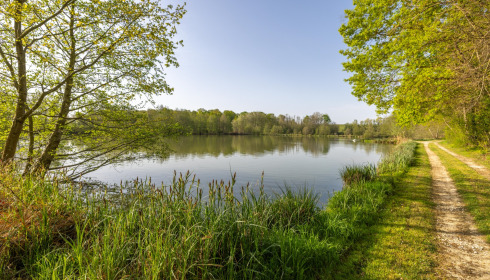 Jonchery 8, Carp Lake in France, lake photo 2