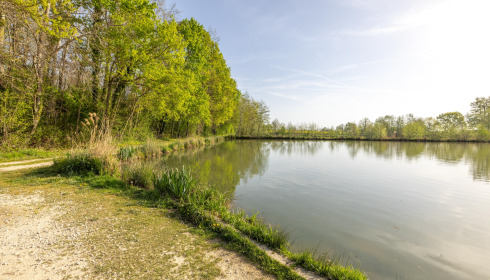 Jonchery 8, Carp Lake in France, lake photo 11