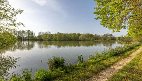 Jonchery 8, Carp Lake in France, lake photo 5