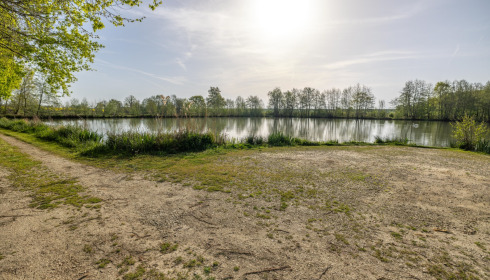 Jonchery 8, Carp Lake in France, Left of main swim