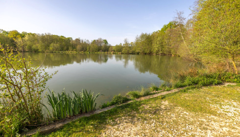 Jonchery 8, Carp Lake in France, lake photo 4