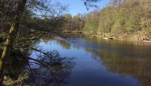 Bears Lake, Carp Fishing France with Accommodation, lake photo 14
