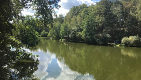 Bears Lake, Carp Fishing France with Accommodation, lake photo 18