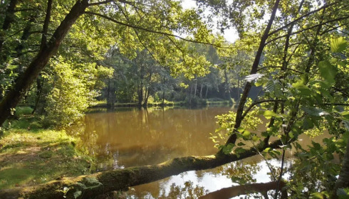 Bears Lake, Carp Fishing France with Accommodation, lake photo 20