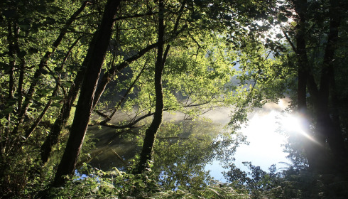 Bears Lake, Carp Fishing France with Accommodation, lake photo 4