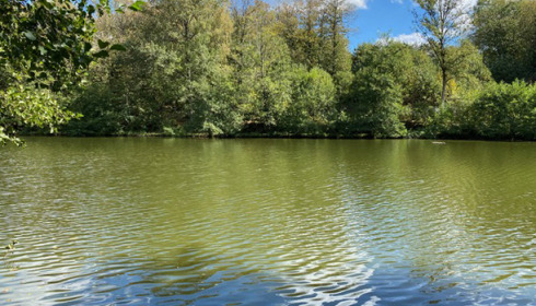 Bears Lake, Carp Fishing France with Accommodation, lake photo 22
