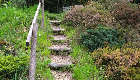 Bears Lake, Carp Fishing France with Accommodation, Steps down to lakeside