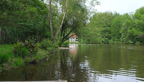 Bears Lake, Carp Fishing France with Accommodation, lake photo 9