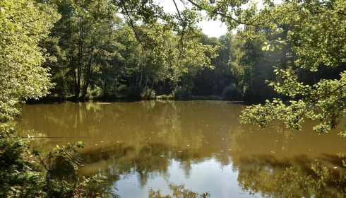 Bears Lake, Carp Fishing France with Accommodation, lake photo 11