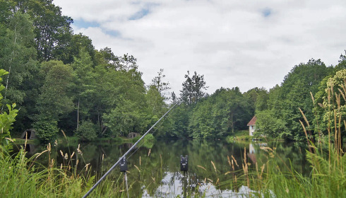 Bears Lake, Carp Fishing France with Accommodation, lake photo 17